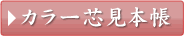 カラー芯見本帳
